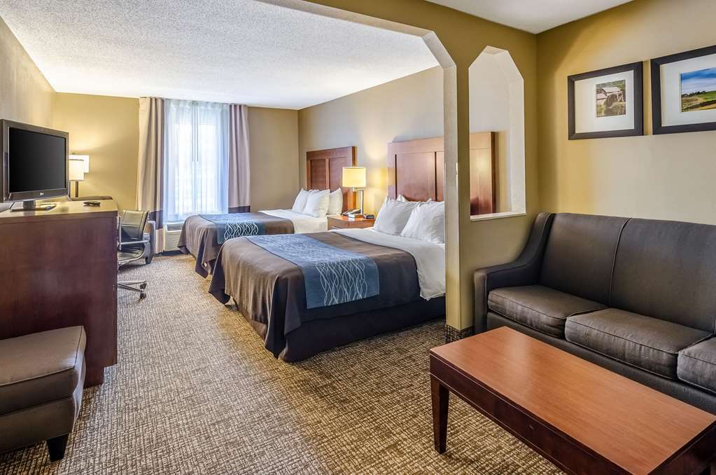 Comfort Inn & Suites Christiansburg I-81 Rum bild